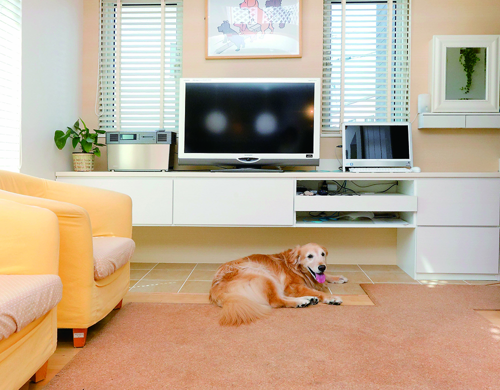 愛犬・愛猫と幸せに暮らす住まいづくり